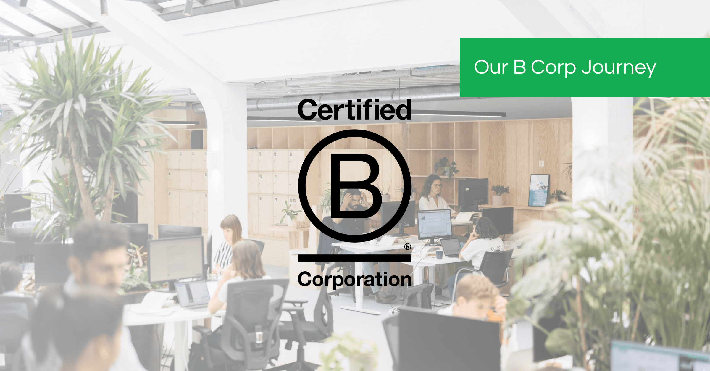 Our B Corp Journey