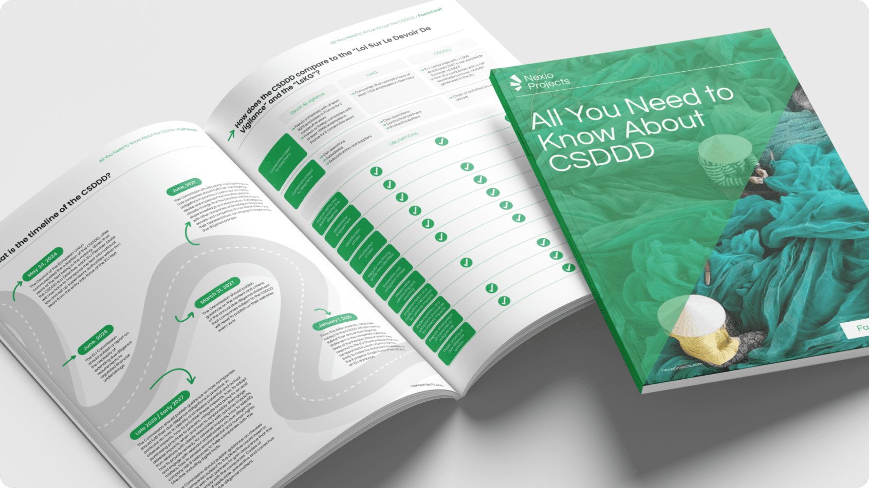 Factsheet: All You Need to Know About CSDDD