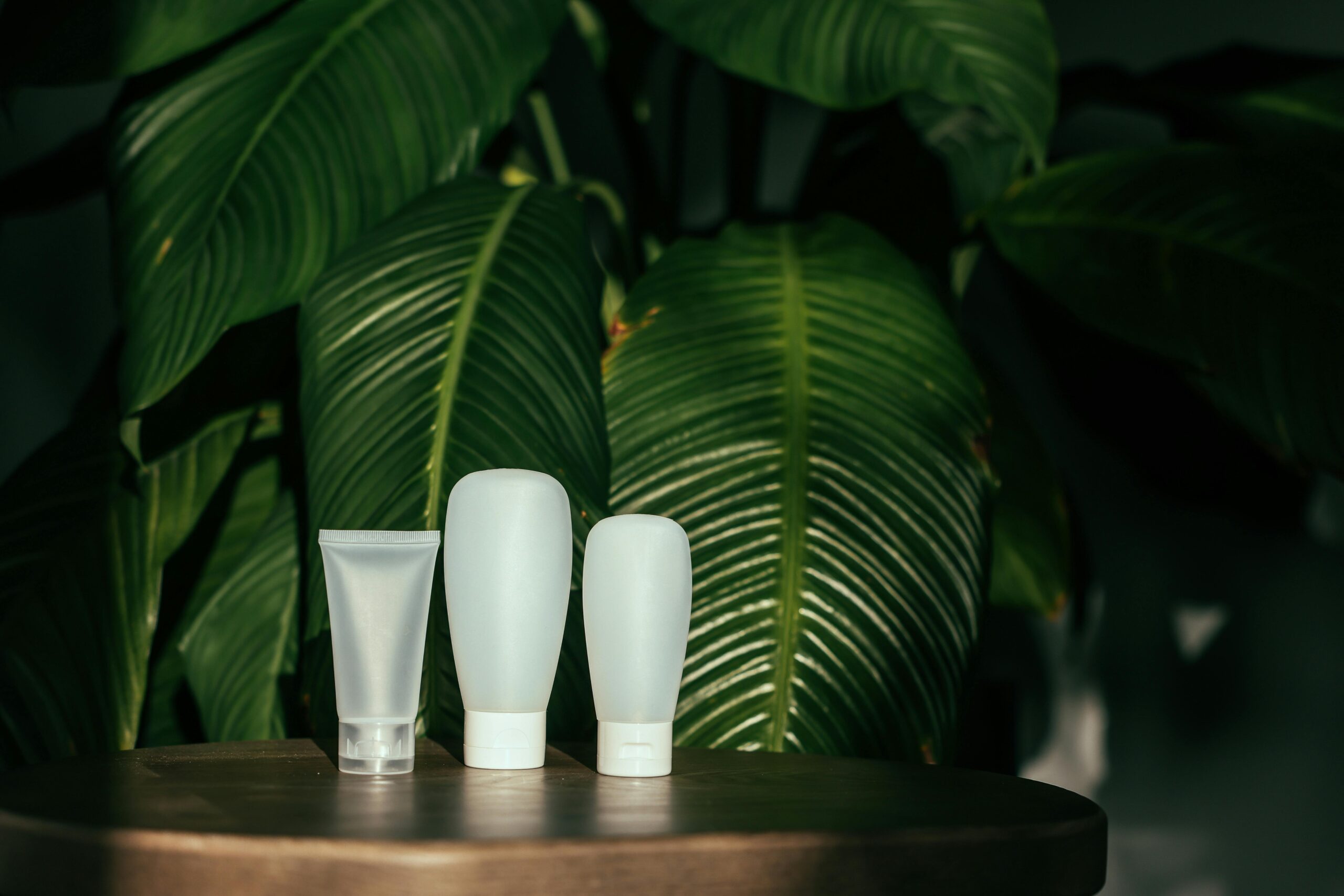 A small professional services firm with a big sustainability score 